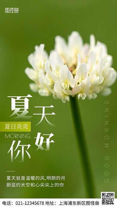 摄影图夏天你好绿色简约风手机海报