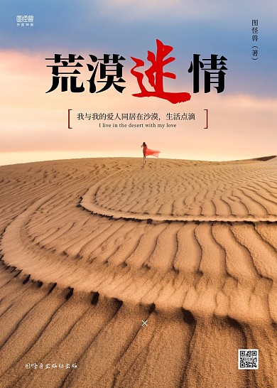 简约荒漠迷情沙漠情感言情爱情恋爱书籍小说