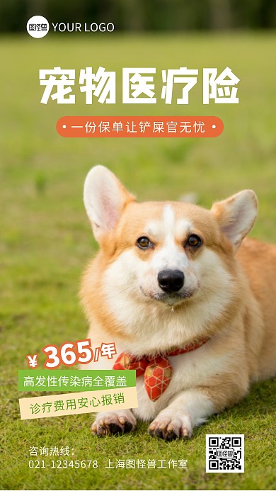 宠物医疗险宣传介绍简约摄影图海报