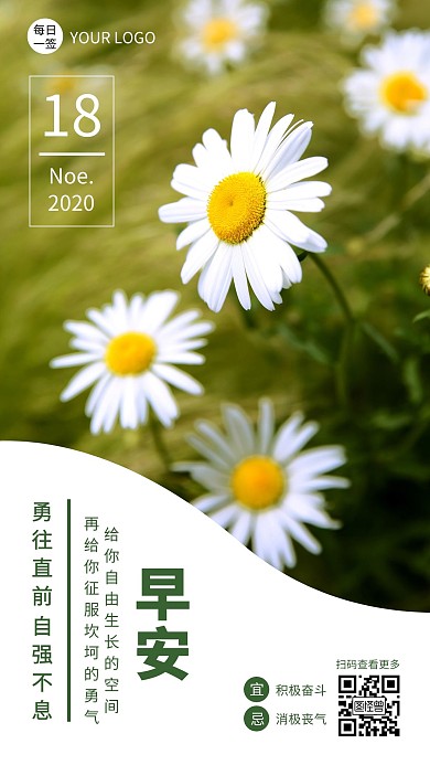 简约花朵摄影大气绿色菊花标本日签