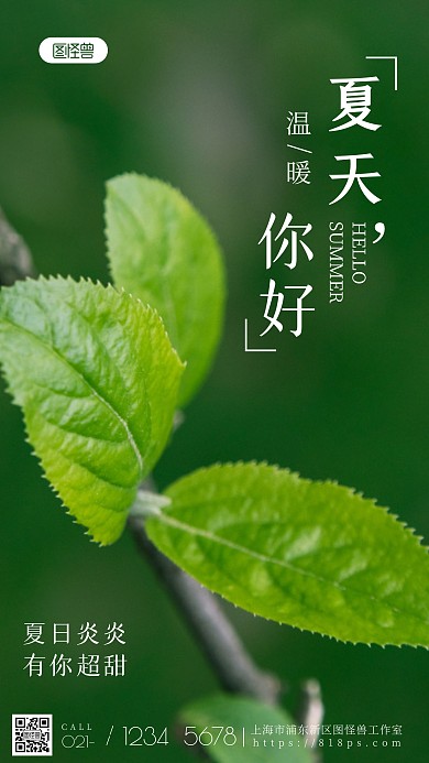 你好夏天树叶白色绿色简约风摄影图海报