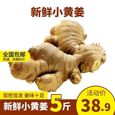 黄棕色大气新鲜生姜电商主图直通车