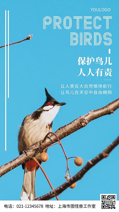 摄影图爱护鸟儿简约风手机海报