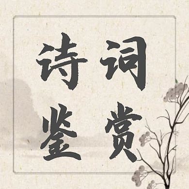 灰色简约鉴赏公众号次图