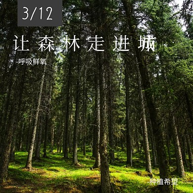 创意简约植树节公众号正方形配图模板
