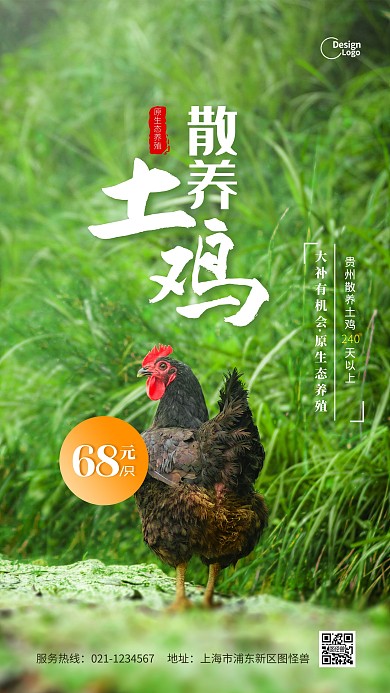 散养土鸡推广摄影图海报