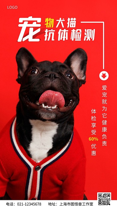 宠物犬猫抗体检测服务简约摄影图海报