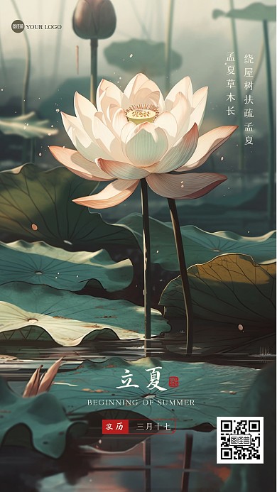 唯美荷花立夏插画海报