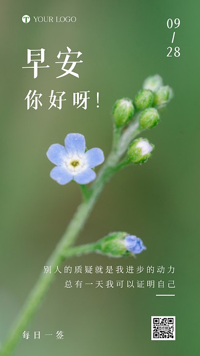 早安问候小清新花朵摄影图日签