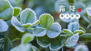 霜降节气问候新媒体电脑桌面