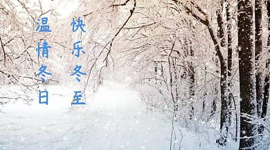 冬至创意简约温情冬至公众号封面模板
