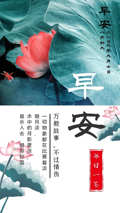 早安荷花景色绿色摄影日签