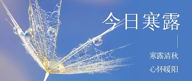 寒露节气祝福简约蓝色公众号首图