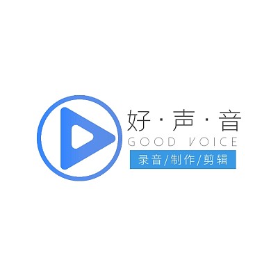 蓝色工作室好声音商务logo设计
