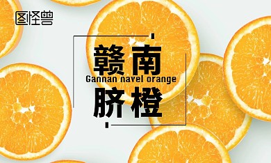 2020赣南脐橙名片