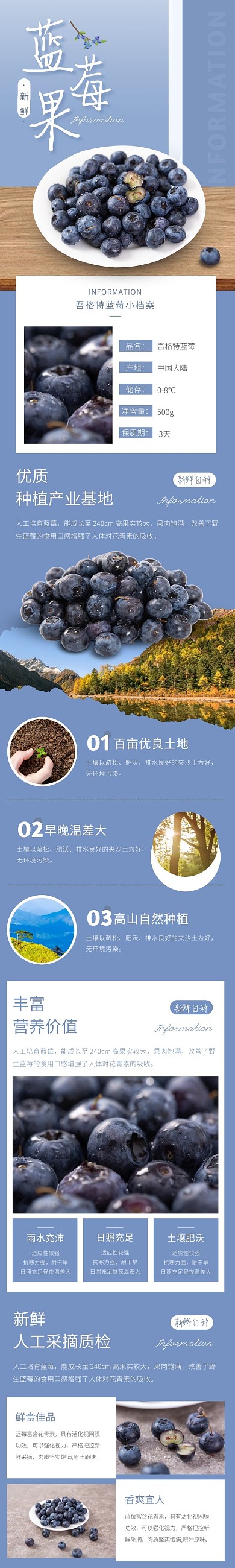 蓝莓几何简约蓝色水果食品详情页