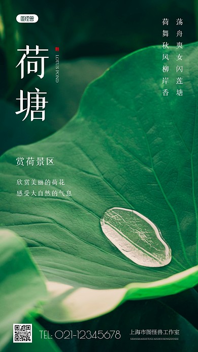 简约风荷塘景区宣传摄影图海报