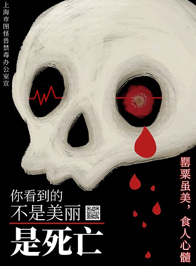 防毒禁毒黑底骷髅罂粟花手绘宣传海报