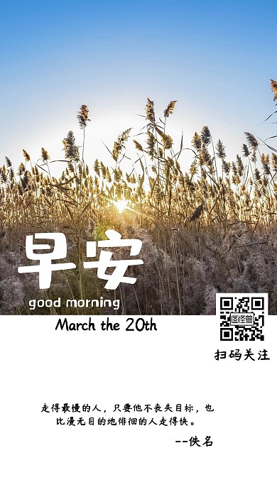 简约风深秋芦苇荡日出早安日签