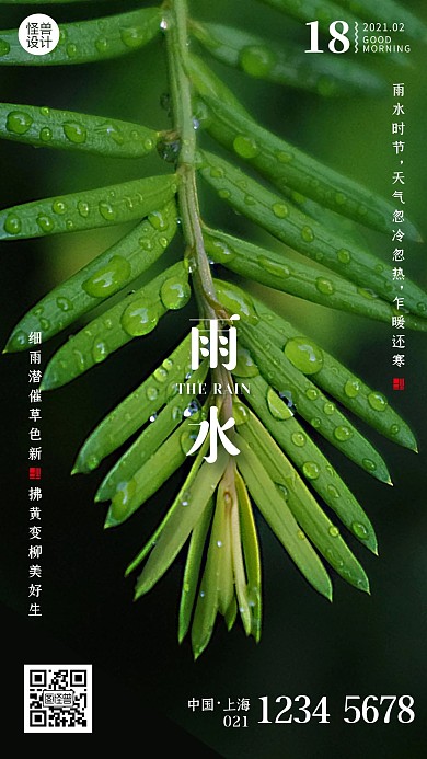 简约雨水节气早安摄影风日签
