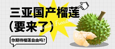 三亚国产榴莲要来了公众号首图