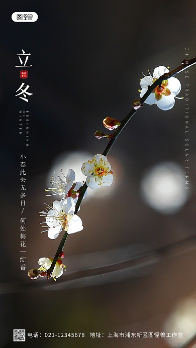 立冬节日节气祝福简约风摄影图海报