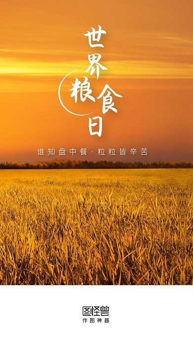 世界粮食日摄影图简约启动页