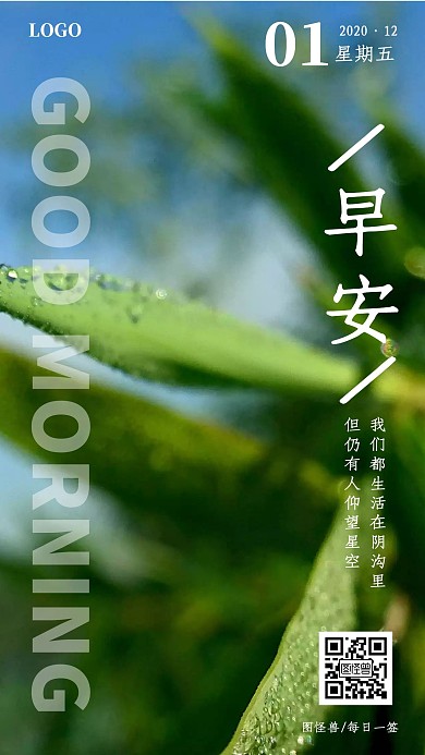简约摄影背景绿色大气早安海报12月1日	