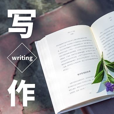 摄影文艺简约森系公众号封面小图写作