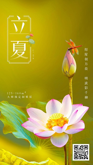 摄影风荷花立夏节24气手机海报