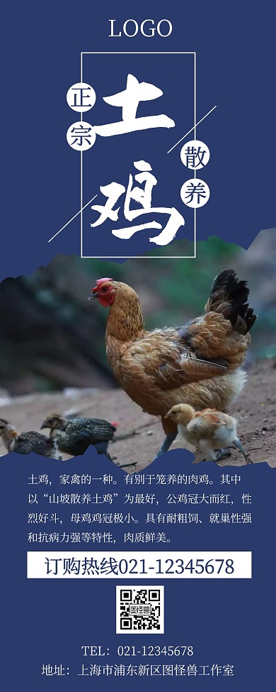 简约风文艺土鸡营销长图