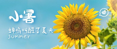 清新摄影向日葵小暑节气祝福公众号封面首图