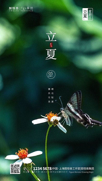 立夏传统节气简约大气摄影图海报
