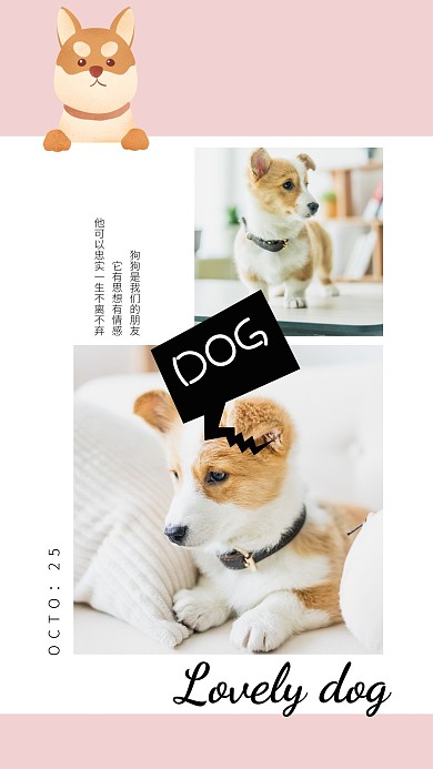 简约创意卡通宠物狗狗宣传相册