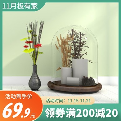 11月极有家简约北欧花瓶摆件主图