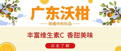 简约风沃柑公众号封面首图