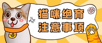 猫咪绝育注意事项