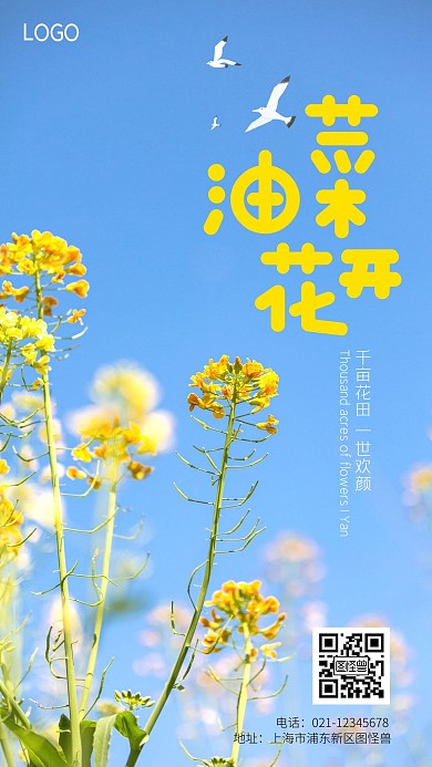 春天花卉之油菜花开手机摄影图海报