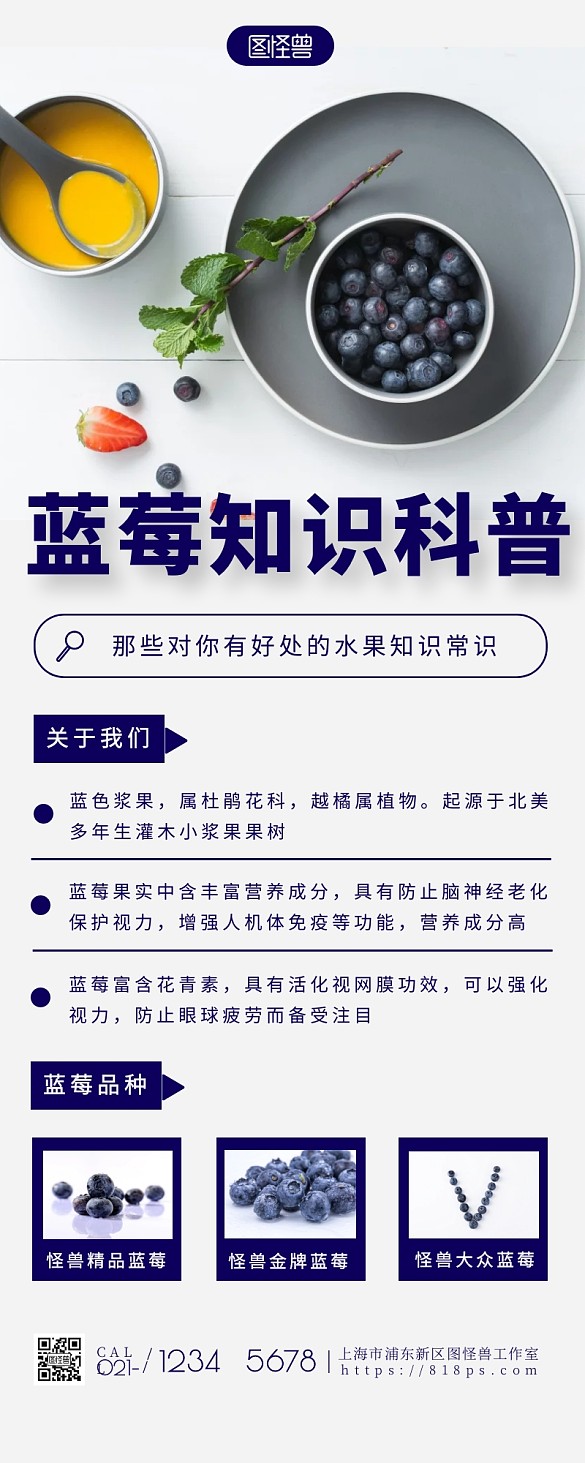 蓝莓知识科普简约大方白色营销长图