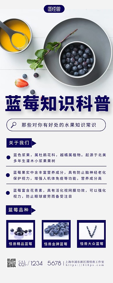 蓝莓知识科普简约大方白色营销长图