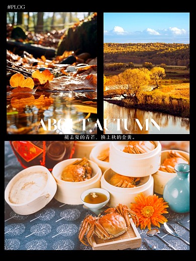 黄色秋季日常记录PLOG模板