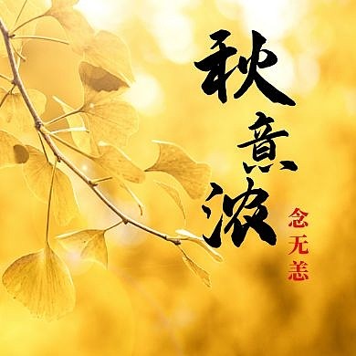 金秋银杏秋意浓 公众号小图	