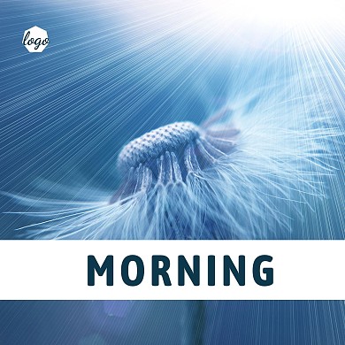 简约蓝色蒲公英CD封面