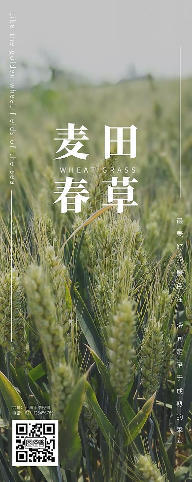 麦田春草小清新文字易拉宝