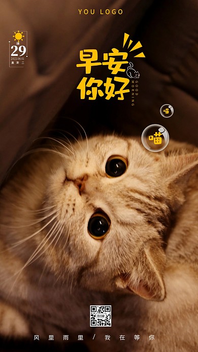 早安宠物你好问候简约手机营销海报