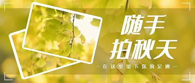 风景秋季银杏叶黄色摄影公众号封面首图