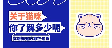 可爱猫咪公众号封面