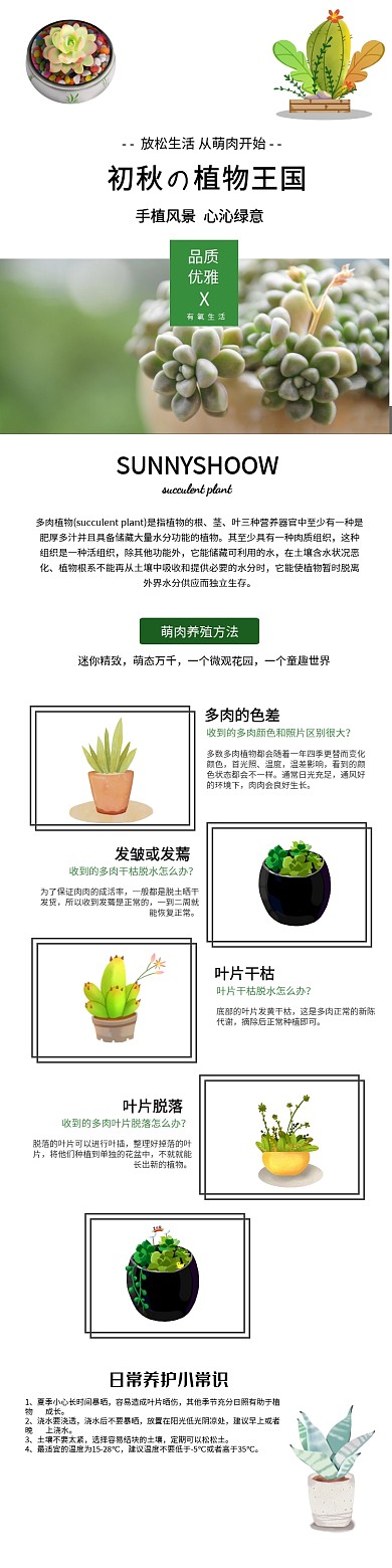 初秋多肉植物上新热卖详细页