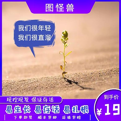 绿色植物树苗淘宝主图