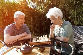 老年夫妇在院子里下棋照片